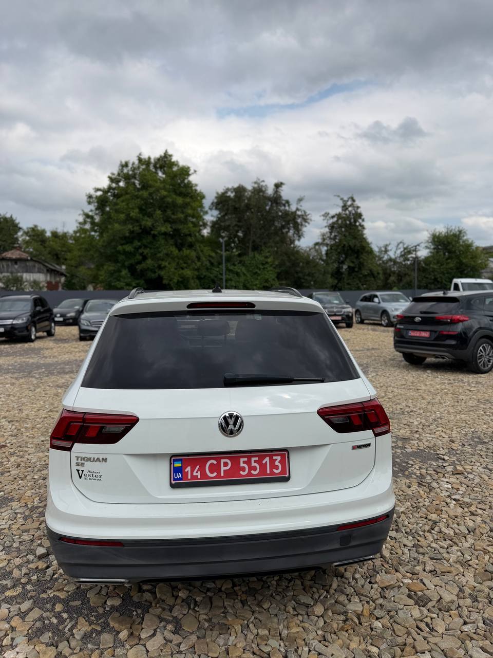 Volkswagen Tiguan 2.0T Se 2018 — фото на майданчику Delivery Import, фото 11